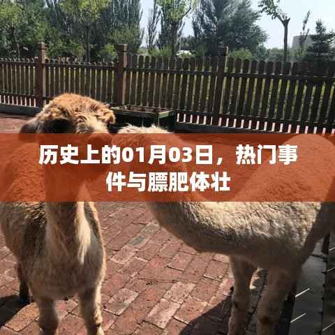 歷史上的大事件，一月三日與膘肥體壯的日子