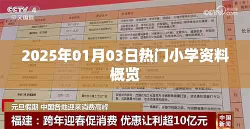 2025年1月熱門(mén)小學(xué)資料概覽與趨勢(shì)分析
