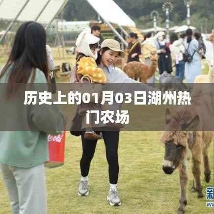湖州熱門農(nóng)場歷史揭秘，一月三日的重要時刻