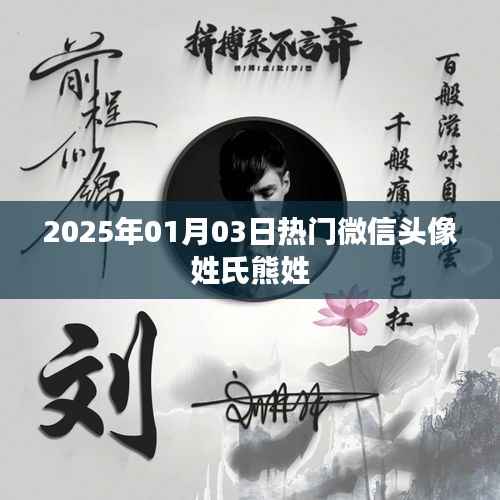 『熊姓微信頭像熱門推薦 2025年精選』