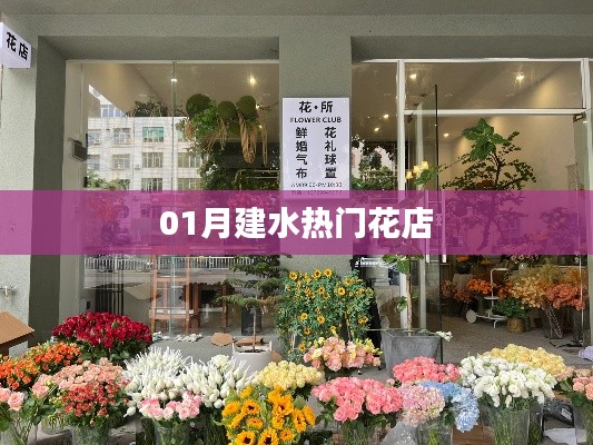 建水一月熱門花店推薦