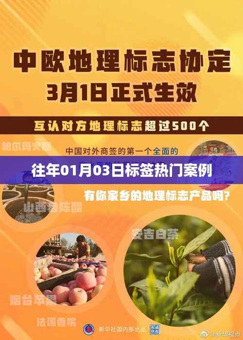 『歷年一月初三日熱門(mén)案例大盤(pán)點(diǎn)』