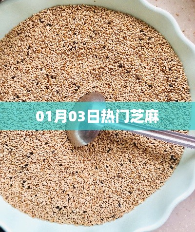 最新熱門芝麻資訊，芝麻動態(tài)一網(wǎng)打盡