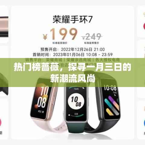 熱門榜薔薇揭秘一月三日風(fēng)尚新潮流