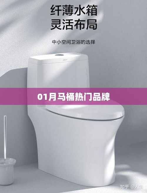 馬桶品牌熱門榜單揭曉，一月份選購指南