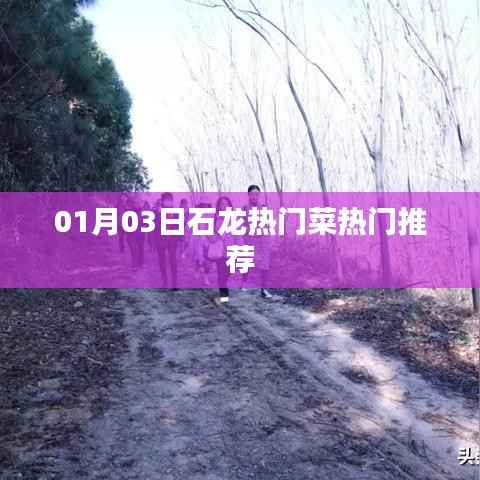 石龍熱門菜推薦榜單出爐！不容錯過的美食盛宴！