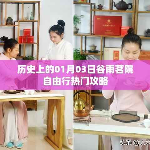 谷雨茗院自由行，一月三日熱門(mén)攻略揭秘