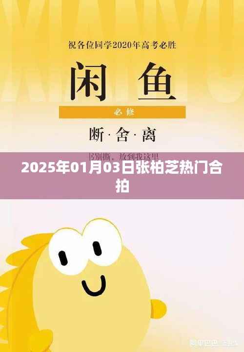 張柏芝最新合拍電影，2025年大片亮相！
