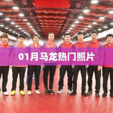 馬龍熱門照片大放送，不容錯過！