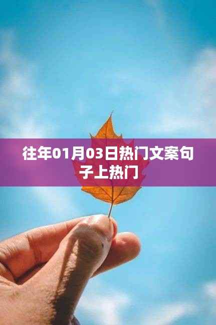 熱門文案句子盤點，歷年一月初三火爆文案回顧
