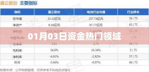 熱門資金流向領(lǐng)域動(dòng)態(tài)解析
