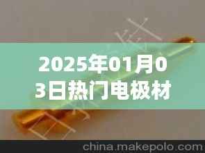 建議，電極材料熱門趨勢展望，未來在2025年。