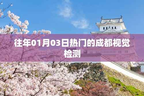 成都視覺(jué)檢測(cè)熱門(mén)回顧，歷年一月初的盛況