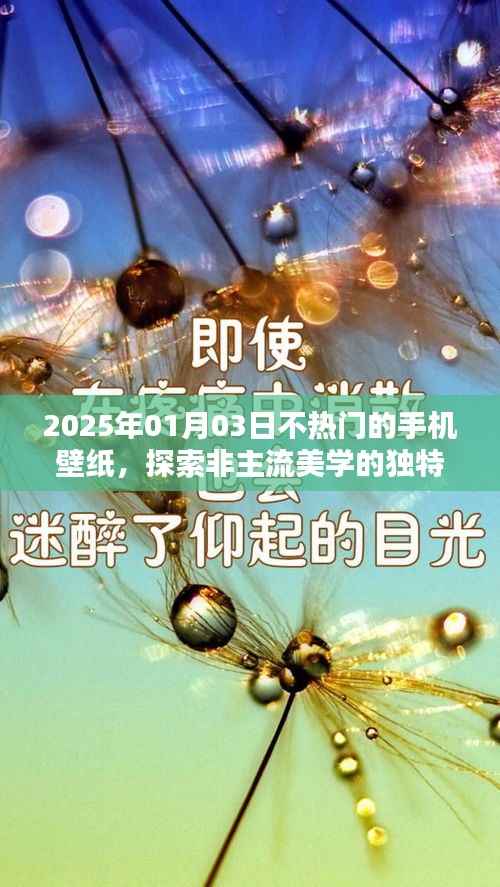 非主流美學魅力揭秘，探索冷門手機壁紙的獨特韻味