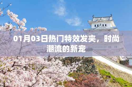 熱門特效發(fā)夾，引領(lǐng)時(shí)尚潮流新寵