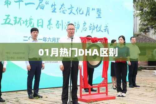 01月熱門DHA差異解析