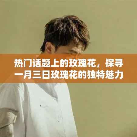 探尋一月三日玫瑰花的獨(dú)特魅力與熱門話題