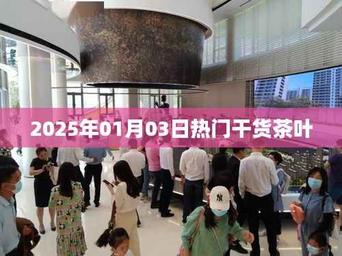 2025年元旦熱門茶葉干貨分享