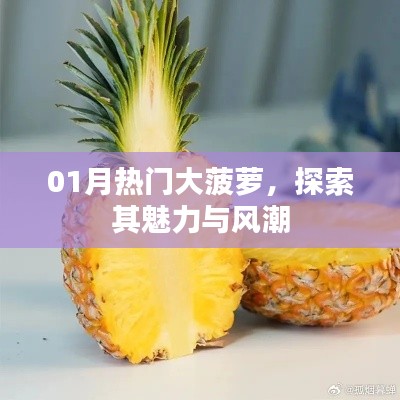 探索大菠蘿魅力與風潮，一月熱門揭秘